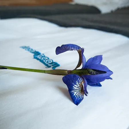 Dream Team Nordic Haven * בידגוז'יז'