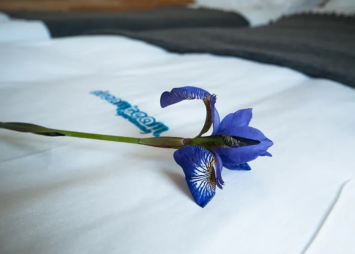 Dream Team Nordic Haven * Bydgoszcz