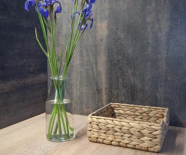 Lejlighed Dream Team Nordic Haven