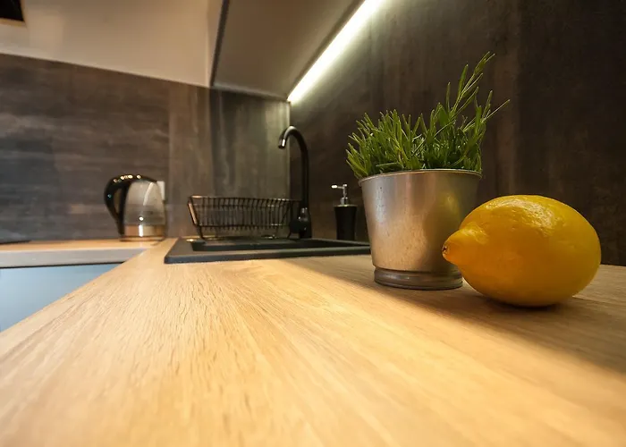 Dream Team Nordic Haven * Bydgoszcz